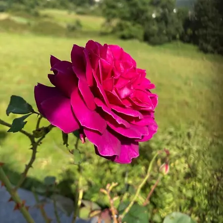 Seeblick Oase Appartement