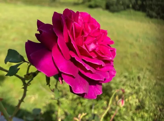 Seeblick Oase Apartmán