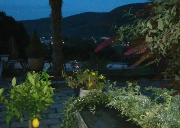 Seeblick Oase Obermaubach